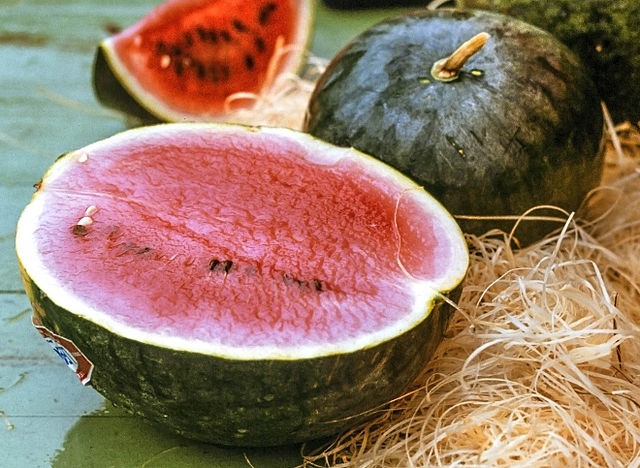 Datei:Wassermelone.jpg