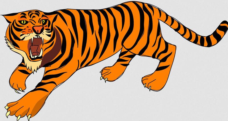 Datei:der Tiger.JPG